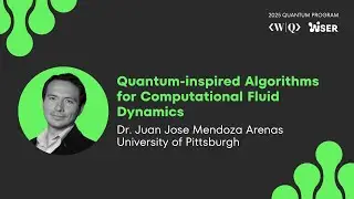 Quantum-inspired Algorithms for Computational Fluid Dynamics ❯  Dr. Mendoza Arenas ❯ QUANTUM PROGRAM