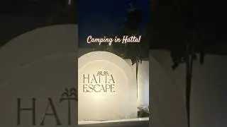 Camping in Hatta: less noise, more nature #shorts #viral #viralshorts