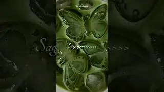 Sage green is  god ✨✨🍀#shorts #aesthetic #sagegreen #colors #dalengdale