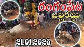 రంగంపేట పశువుల పండగ 🔥 21.01.2026🔥Rangampeta Jallikattu Full Video
