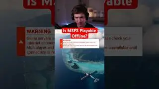 Можно ли играть в MSFS в автономном режиме?