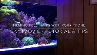 Filming Reef Tanks With Your Phone: Ep.4  iMovie Tutorial & Tips - Series Finale