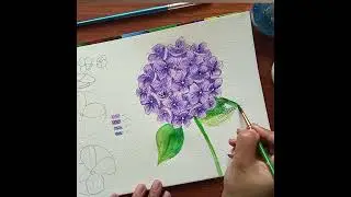 How to draw and color hydrangea flower#short