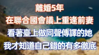 離婚5年，在聯合國會議上重逢前妻，看著臺上做同聲傳譯的她，我才知道自己錯的有多徹底   #職場 #职场 #故事 #家庭 #退休生活#情感