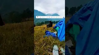Camping at Dong Valley📍 #arunchalpradesh #northeast #dongvalley #youtubeshorts