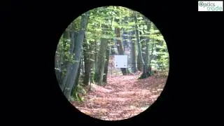 Kahles K15i reticle SM2 subtensions