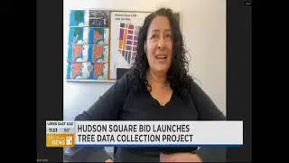 Hudson Square is Blooming: What&rsquo;s Next for NYC&rsquo;s Most Creative Neighborhood | NY1
