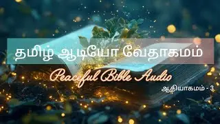 ஆதியாகமம் 3 | தமிழ் ஆடியோ வேதாகமம் | Tamil Audio Bible #audiobible  #Tamilபரிசுத்தவேதாகமம் 