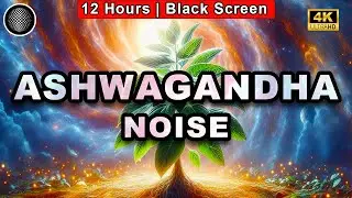 Ashwagandha Noise | Color Noise For Sleep | Uninterrupted Sleep | Tinnitus Sound Therapy Dark Screen