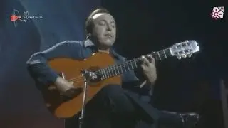 Bulerías. Paco Cepero. 1990