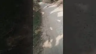 Gaon Mein Subah Ka Scene Bahut Pyara 🌅 | Daily Vlog