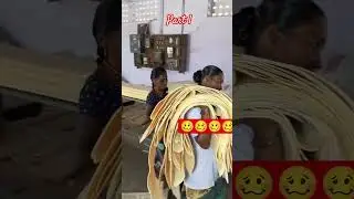 क्या आपको पता है भारत में Match Stick कैसे54बनायी जाती है