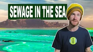Is Cape Town's Seawater Unsafe? City Vs Citizens