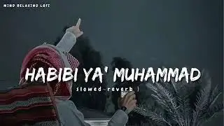 HABIBI YA' MUHAMMAD ||beautiful naat sharif || 🥰😍😇