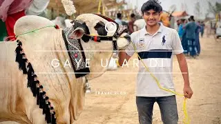 Janwar unload karadia