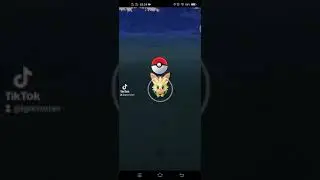88 Pokemon Go - Lillipup l @cruziantv9451