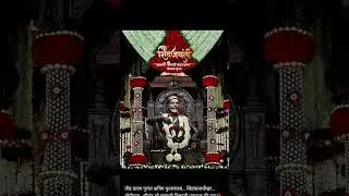 Chhava collection till now