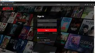 Mirror Websites ( HTTrack)