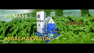 Algae Cell Harvesting Demo &ndash; Disc Stack Centrifuge in Real Aquaculture Operation