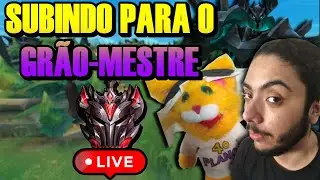 De volta a cor Roxa !pix !elo !regras !redes