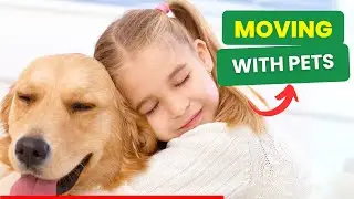Moving With PETS | Ruff & Ready Moving | Best Moving Company  #bestmovers #movingtips #experts