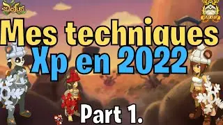 MES TECHNIQUES XP-PL DOFUS 2022 - Part 1 - KROBES (by volca) 7 MULES - Entraax [DOFUS]