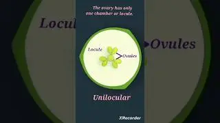 Types of Ovary in Flowering Plants || Unilocular Ovary #biology #education @Science Aids to Learn