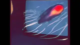 Ouverture antenne Canal+ 1984