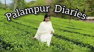 Heaven is a place on Earth, and I found it in Palampur! 🌿