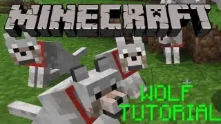 Minecraft -  wolf / wolves tutorial Beta 1.4 update : how to tame a wolf / dog HD