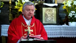 Ks. dr Andrzej Scąber w kościele śś. Piotra i Pawła w Krakowie: Módlmy się za Piotra naszych czasów