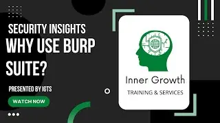 Why use BURP SUITE for your penetration testing?