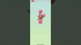 Hatching Shiny Buneary In Pok&eacute;mon Go