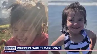 Oakley Carlson case: Mother released from jail, immediately arrested again on new charges