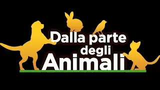 Dalla Parte degli Animali: lupi e dromedari nella Tenuta di San Rossore