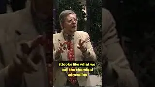 Mind Energy and Fear Explained