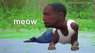 Someone Turned the Cat From &lsquo;Stray&rsquo; Into CJ...