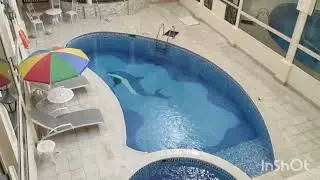 ОАЭ. Шарджа. Обзор на отель+номер Al Seef Hotel!