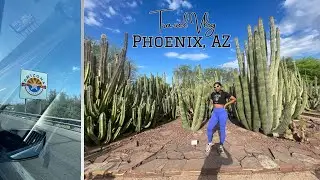 Travel Vlog: Solo Trip to Phoenix, AZ | Native American Food, Botanical Garden, Heard Museum