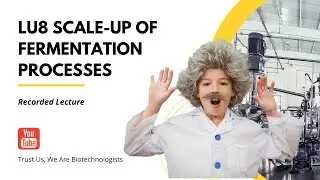 Scale-up of fermentation processes