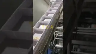 Frozen French fries production line