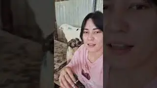 Небольшая музыкальная пауза 