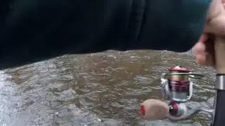 SALMON FISHING 2020 (PULASKI NEW YORK)(SALMON RIVER)