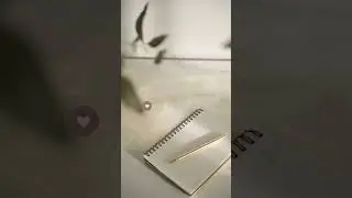 ✨ 