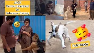 Jack German Shepherd on Behaviour Training || Dog boarding Centre Jodhpur @dogloverprakash