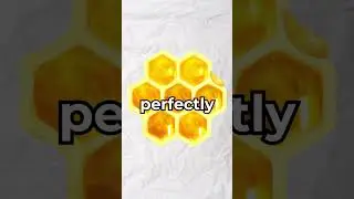 Почему соты шестиугольные?🤔(Объяснение) #шорты #вирусный