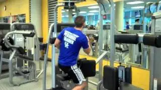 Cybex Torso Rotation Upper