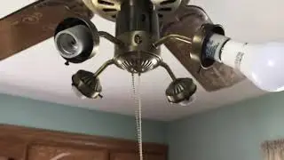 52&rdquo; Moss Tropical Breeze Deluxe Ceiling Fan
