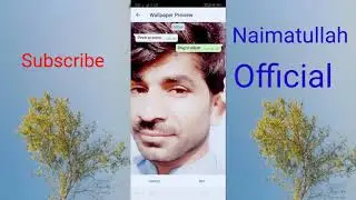 How to change WhatsApp background wallpaper