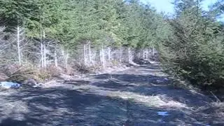 Oregon Coast Range: Bear and Elk